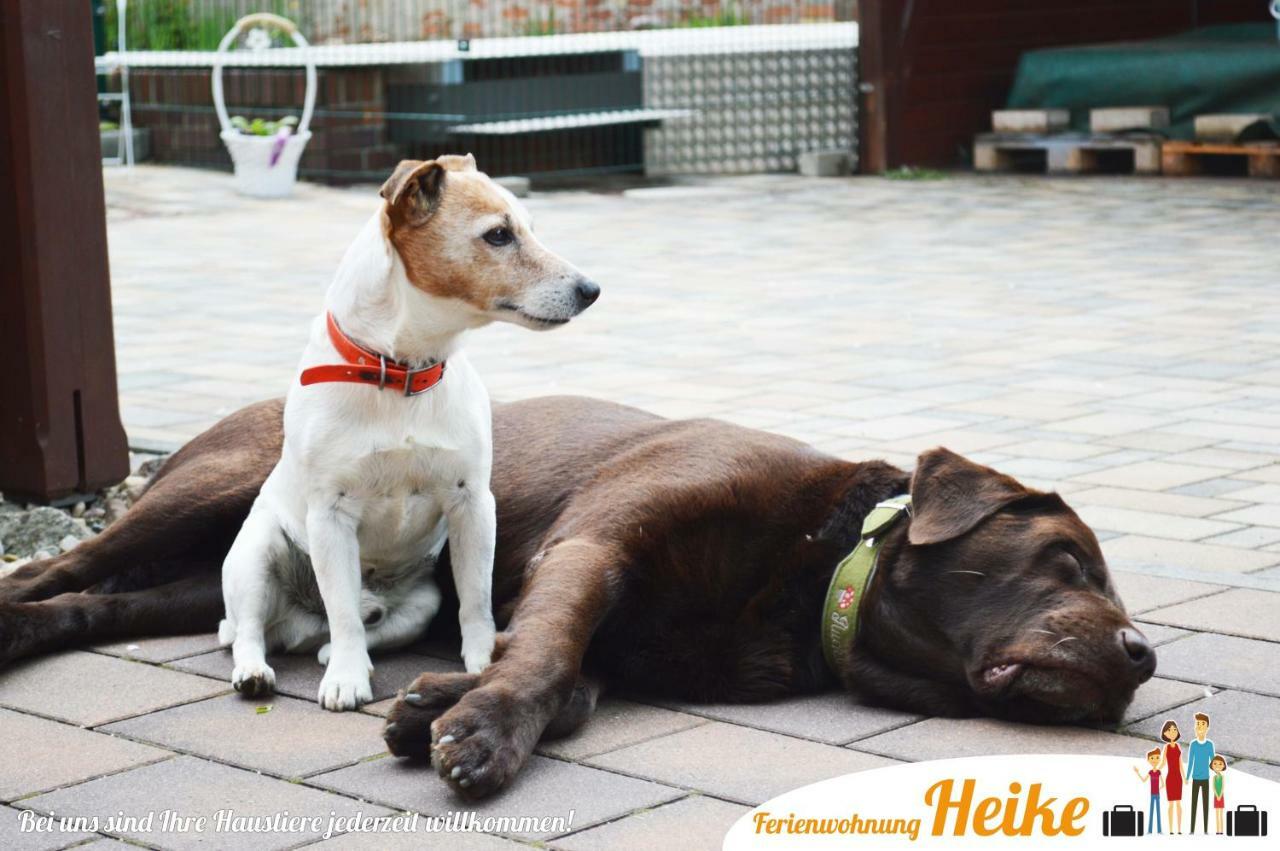 Ferienwohnung Heike シュプレムベルク エクステリア 写真